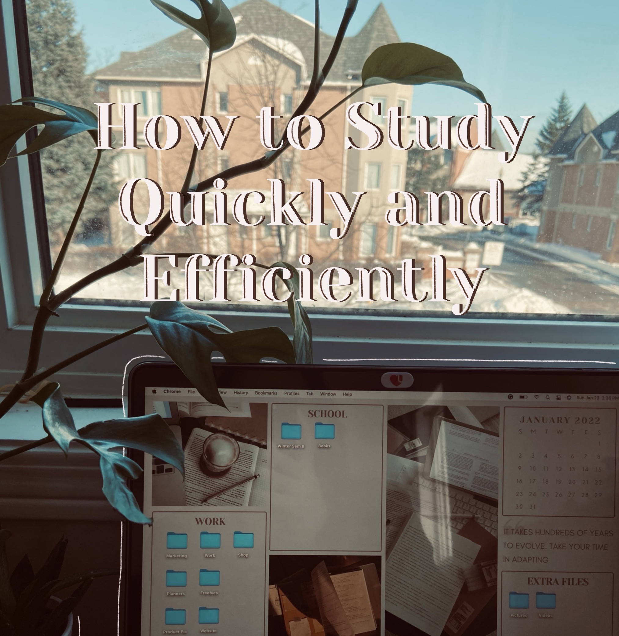 how to study quickly and effiently